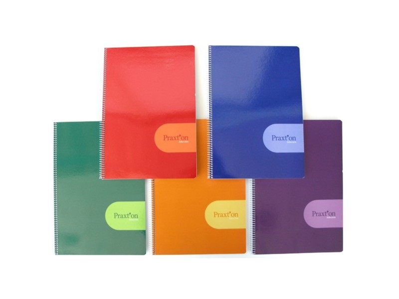 BLOC  80 H. Fº CUADROS 3 MM PRAXTON
