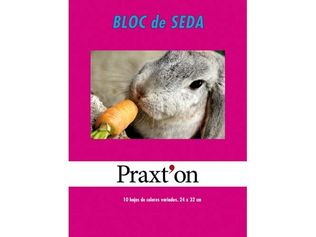 BLOC PAPEL SEDA 10 HOJAS PRAXTON