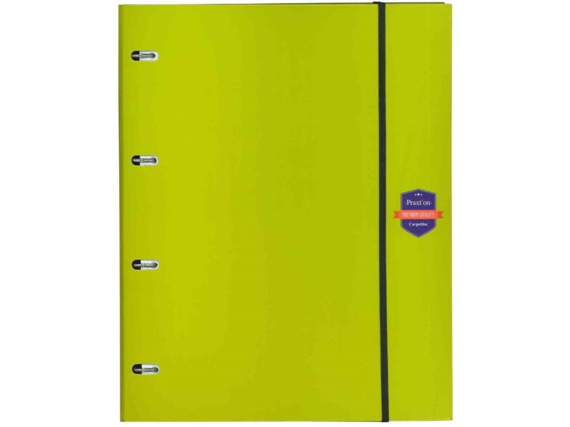 CARPEBLOC 4/A A4 PRAXTON CART 20 MM VERDE+100 HO