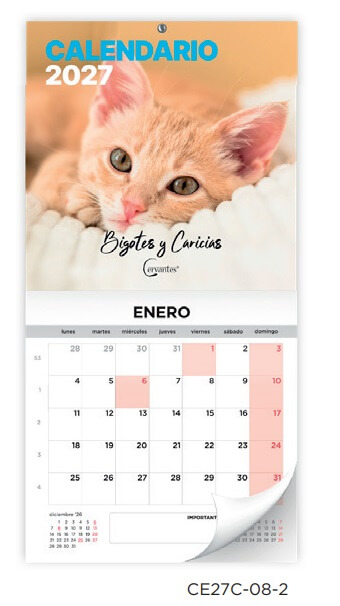 CALENDARIO 2027 PARED MP 30x30 CE27C082
