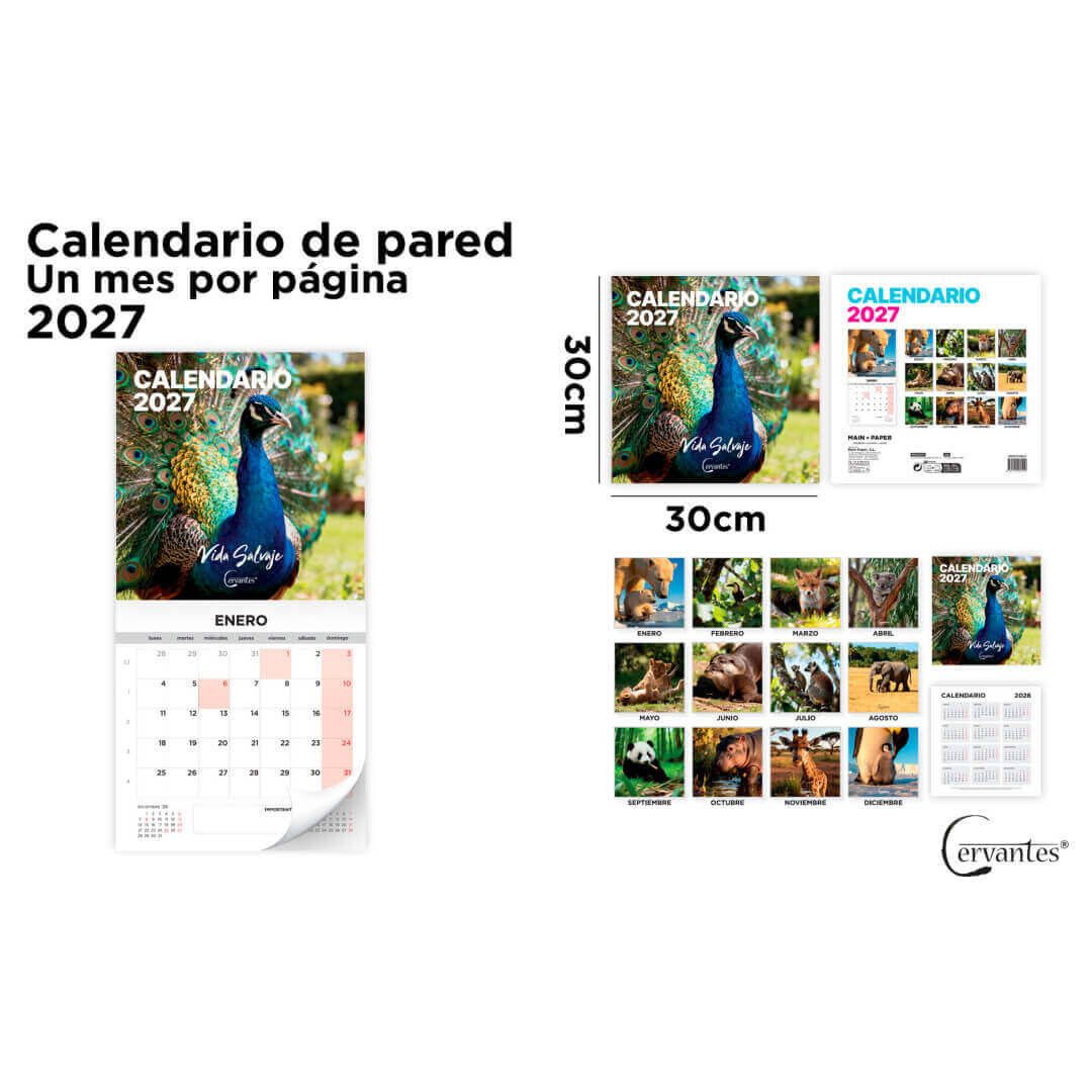 CALENDARIO 2027 PARED MP 30x30 CE27C083